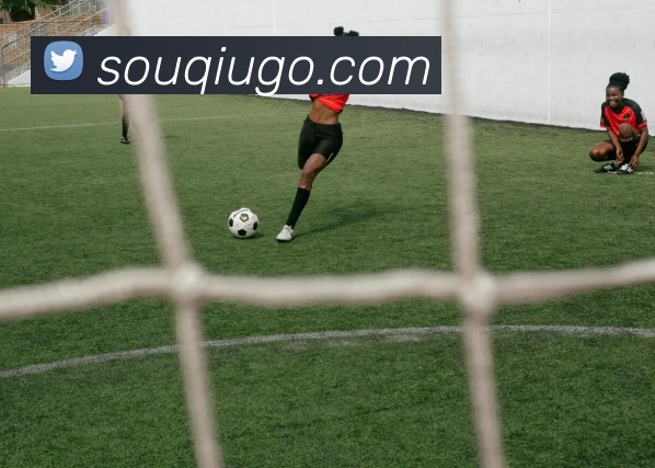 搜球吧直播官网平台生态图