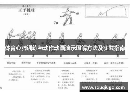 体育心肺训练与动作动画演示图解方法及实践指南
